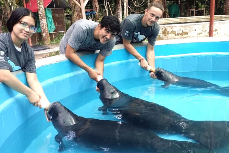 Iquitos Full Day Explorer Program