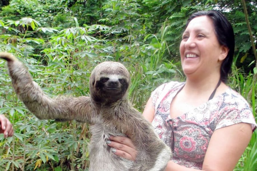 A Deep Amazon Experience Staying Inside the Jungle