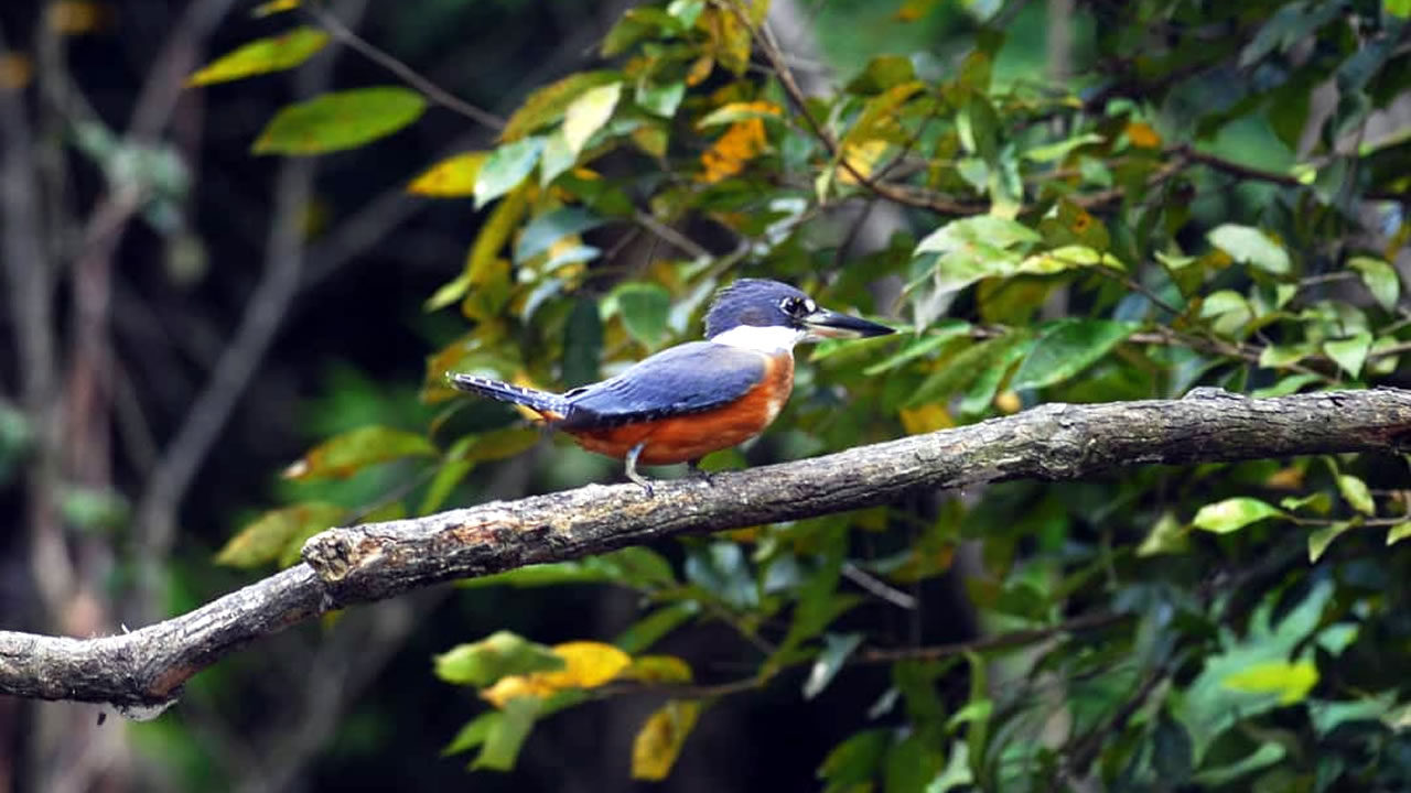 Day 5 – Buenos Aires → Nauta → Iquitos