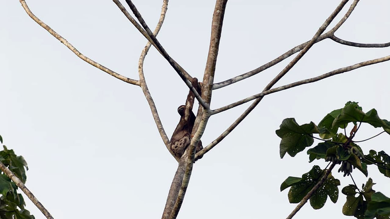 Day 3 – Renacal → Chingana